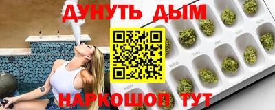 гидропоника Будённовск
