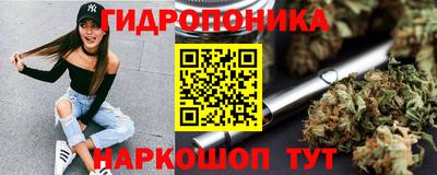 гидропоника Будённовск