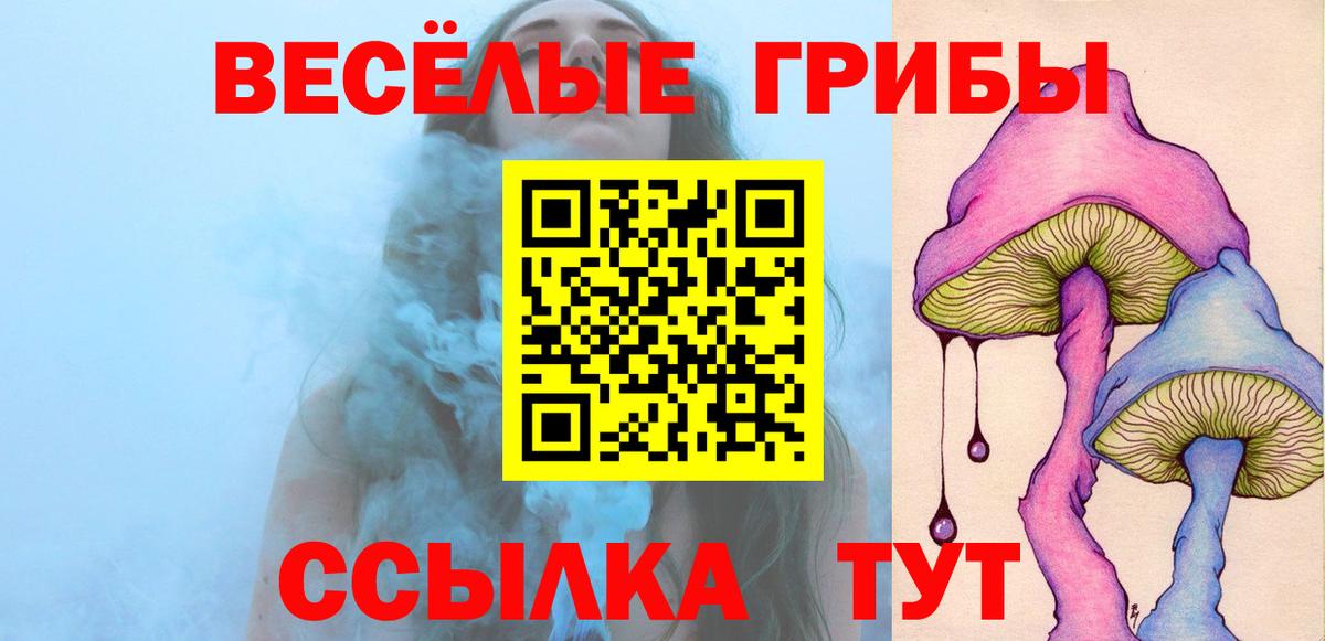 Галлюциногенные грибы ЛСД  Галлюциногенные грибы Magic Shrooms  Вход с VPN  Северобайкальск 